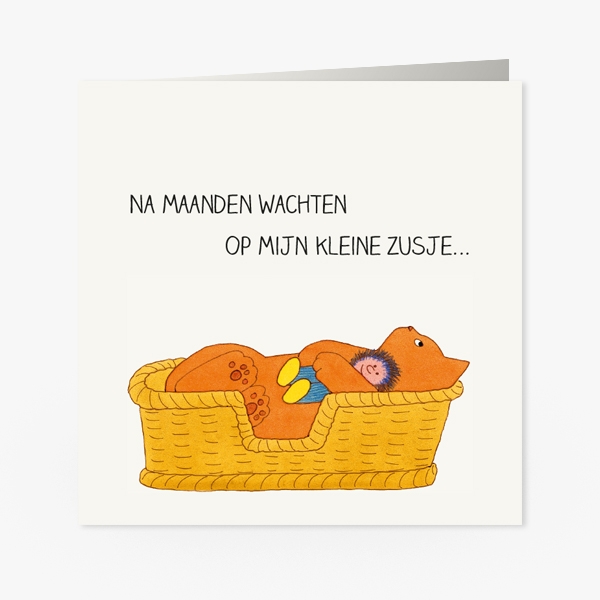 Dikkie Dik wachtend op broertje/zusje