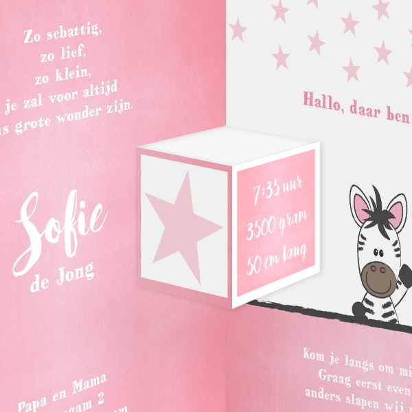 Lief zebraatje (drieluik meisje)