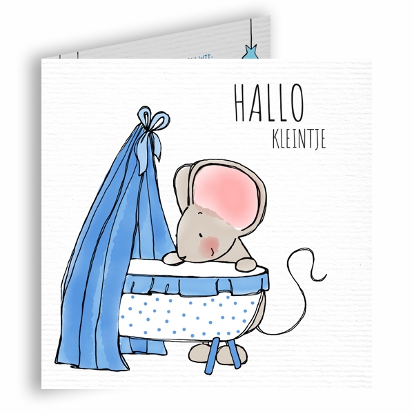 Schattig geboortekaartje met muis blauw