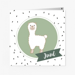 La Carte Exclusief - Baby alpaca (Juul)