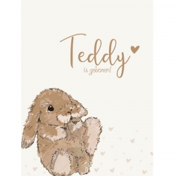 Poster 1 konijntje Teddy