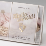 Belarto Hello World  - Hallo wereld